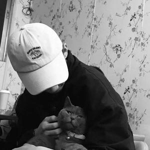 桃子冰妈妈电影免费观看下载
